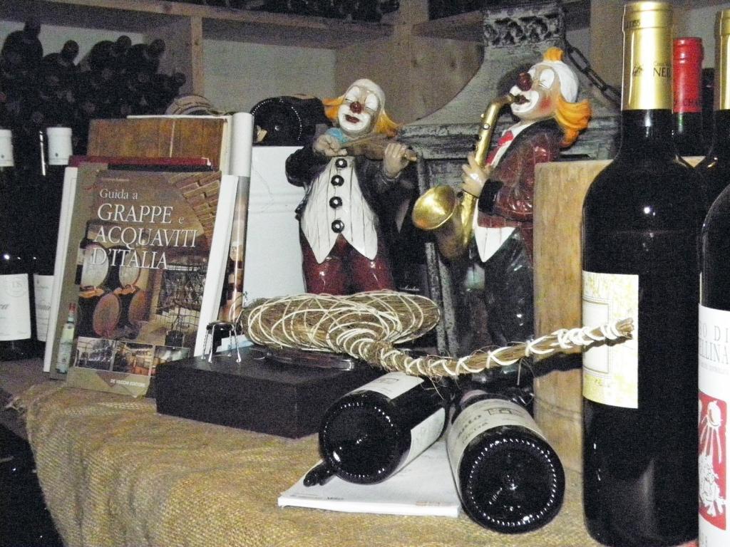 Hotel Angelica リヴィーニョ エクステリア 写真